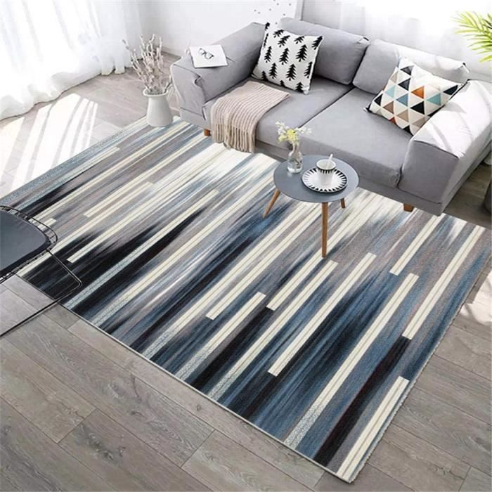 TAPIS DE JARDIN Deco de Jardin Exterieur des Tapis rectangulaires Bleus et Gris sont utilisés dans Le Salon Tapis Grande 44