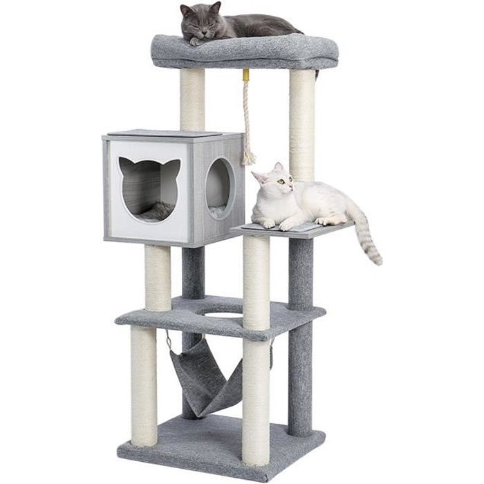 Animal Bois Arbre