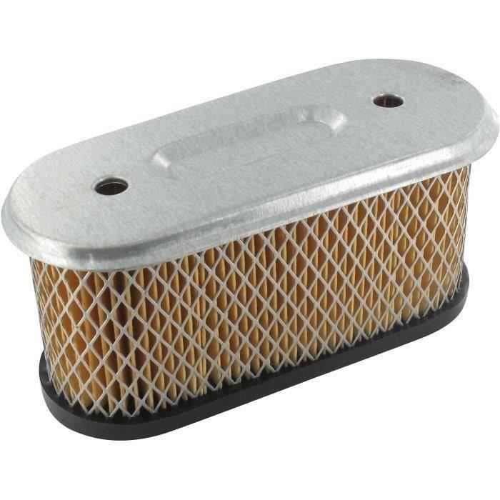 Filtre à air BRIGGS ET STRATTON 491021
