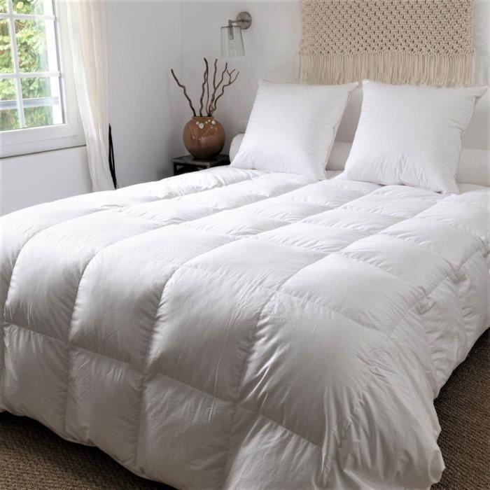 CASTEX COUETTES NATURELLES Couette -  - 260x240 cm - 90% Duvet dOie - Bithermique - Anti-acariens 