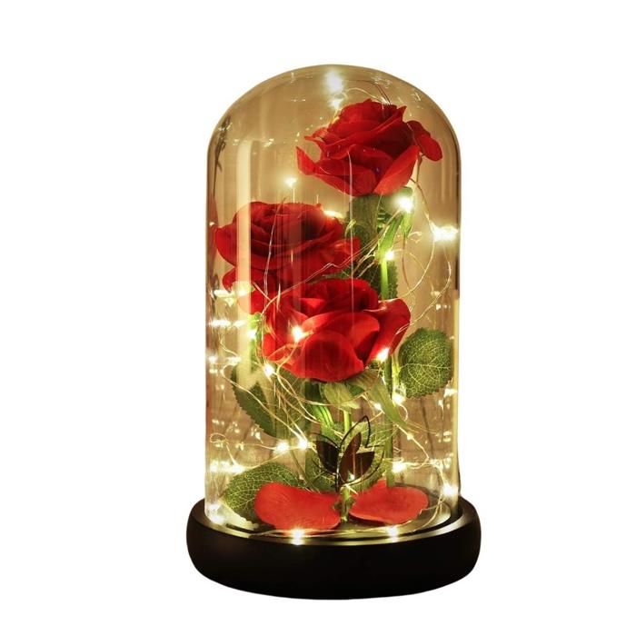 Rose éternelle Sous Cloche En Verre Avec Lumière LED - Cadeau Romantique Pour Femme (mère, épouse, Amie)