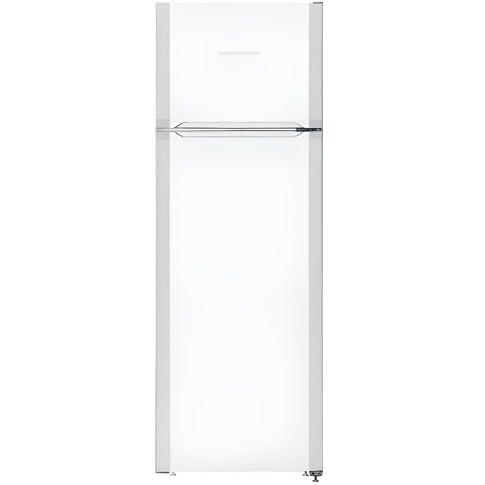 Réfrigérateur congélateur haut CTP251-21