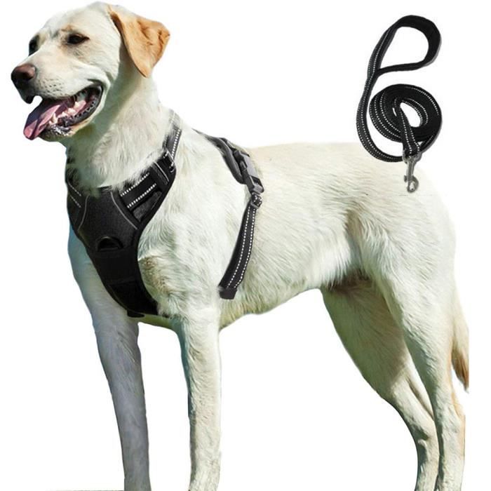 Meilleurs prix pour Harnais Chien S Harnais Anti Traction pour Chien Facile à Mettre avec Poignée Contrôle Livré avec une corde de 15