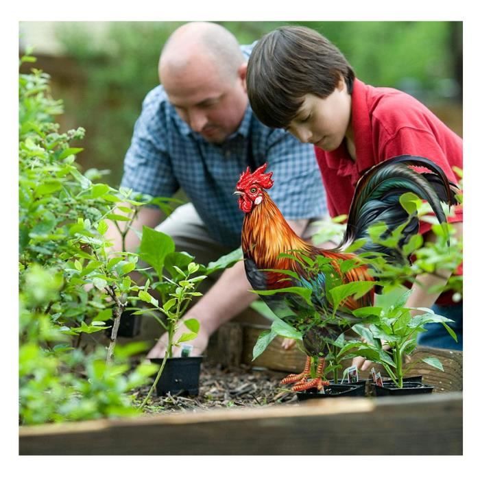 Statue De Coq En Métal Pour Extérieur - Décoration Jardin YEHEI - Figurine Poulet Robuste