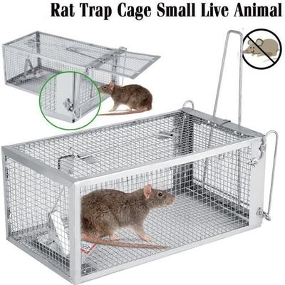 Cage à souris - Piège à Rats Professionnel-Piège à Souris Pour Attraper Les  Souris, Les Mulots et Les Loirs 26,2 * 14 * 11,4 cm -PAI - Cdiscount Jardin