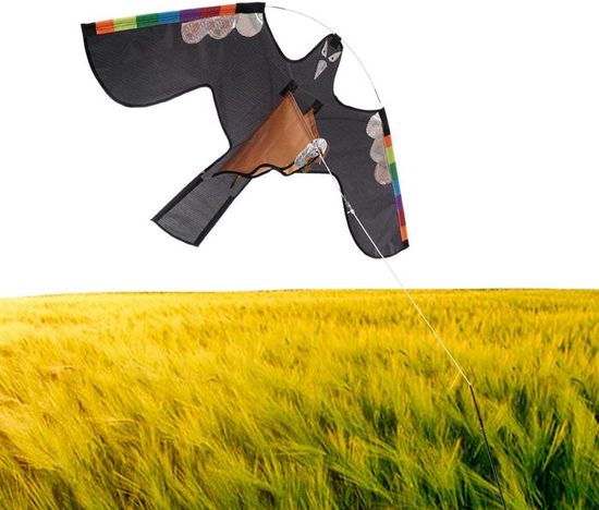 Cerf-Volant Effaroucheur Oiseaux Faucon – Réfléchissant & 3D – Protection Jardin, Balcon, Verger (Sans Poteau)