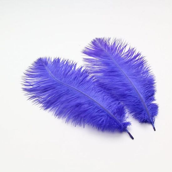 Lot De 10 Plumes Décoratives - Pour Artisanat, Déguisement, Décoration, Neuves
