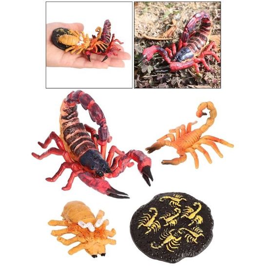 Scorpion Toys for Kids - Animaux télécommandés Scorpion Infrarouge Maquillage effrayant Blague Insecte Innovant Mock Modèle jouet pour fêtes de Noël