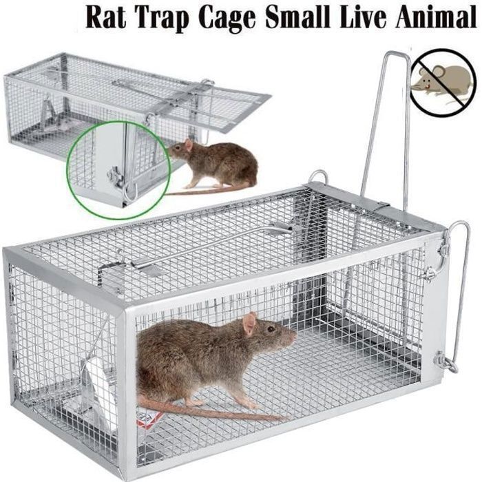 Cage à souris Piège à Rats ProfessionnelPiège à Souris Pour Attraper Les Souris, Les Mulots