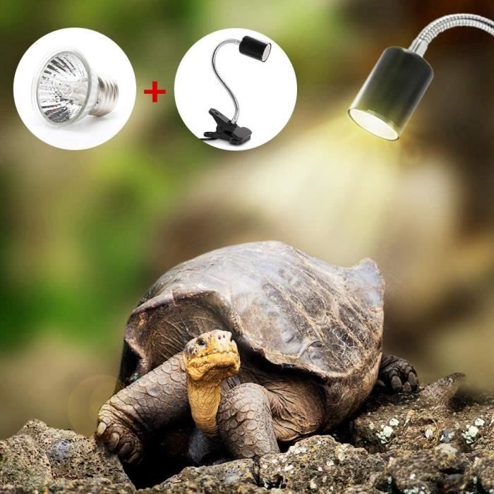 Lampe Uv Et Chauffante Pour Tortue Terrestre