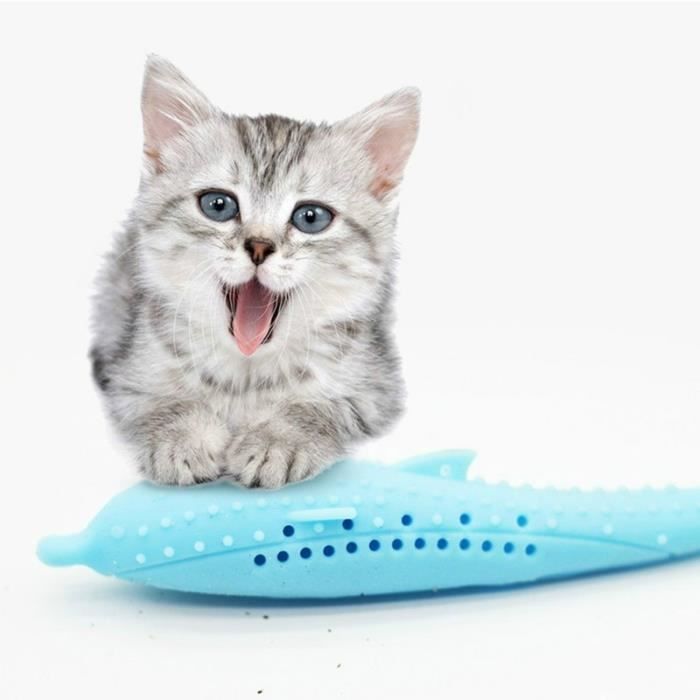 Jouet Pour Dauphin En Silicone Nettoyage Dents De Chat Bleu Cdiscount