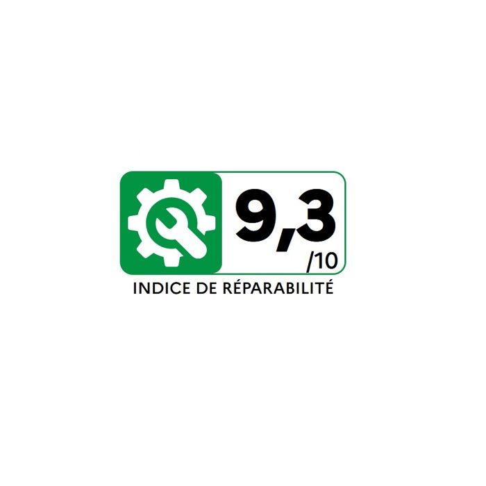 Aspirateur rowenta ro3950 sales
