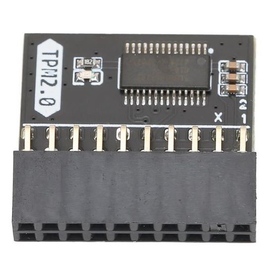 YOSOO Module 14Pin SPI TPM 2.0 pour carte mère - Cryptage, Sécurité, Stockage