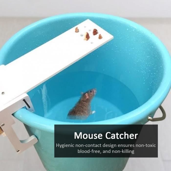 Colle rats/souris non toxique - Wah Sing