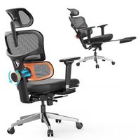 Chaise de Bureau NEWTRAL Chair Pro NT002 Chaise Ergonomique Adaptative pour le Bas du Dos, Accoudoir Réglable, Appui-tête,