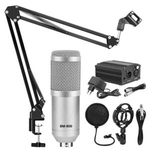 MICROPHONE kits gris argent 3 - Kit de microphone karaoké de 