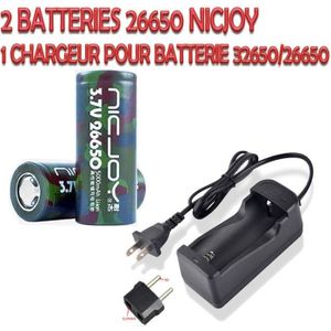 Chargeur USB pour piles AA et AAA (fournies) - Thomson - Pile & chargeur -  LDLC