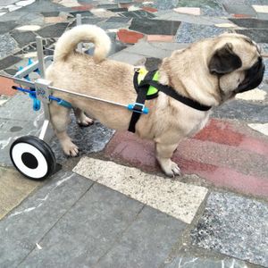 Fauteuil Roulant Pour Chien Cdiscount