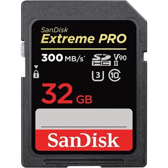 SanDisk 256 Go Ultra microSDXC UHS-I Carte + Adaptateur SD, avec jusqu'à  150 Mo/s, Classe 10, U1, homologuée A1 : : Informatique