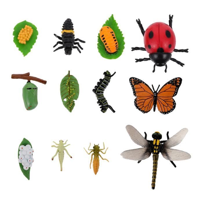 3 définit les insectes modèles de cycle de vie des papillons de papillons et des jouets pour enfants de coccinelle