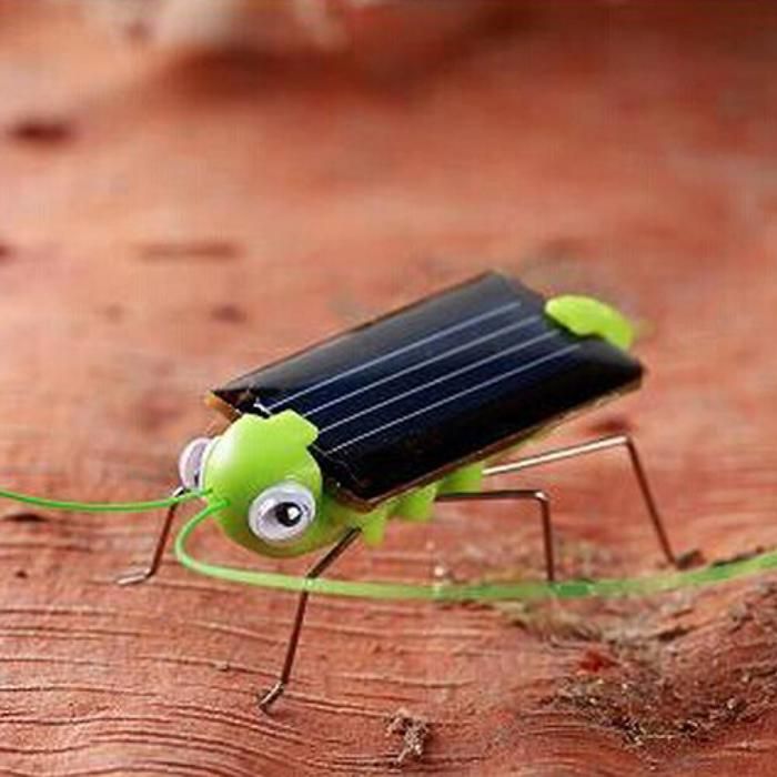 Dinohhi Figurine Insecte à Energie Solaire Modèle Animal Jouet Solaire