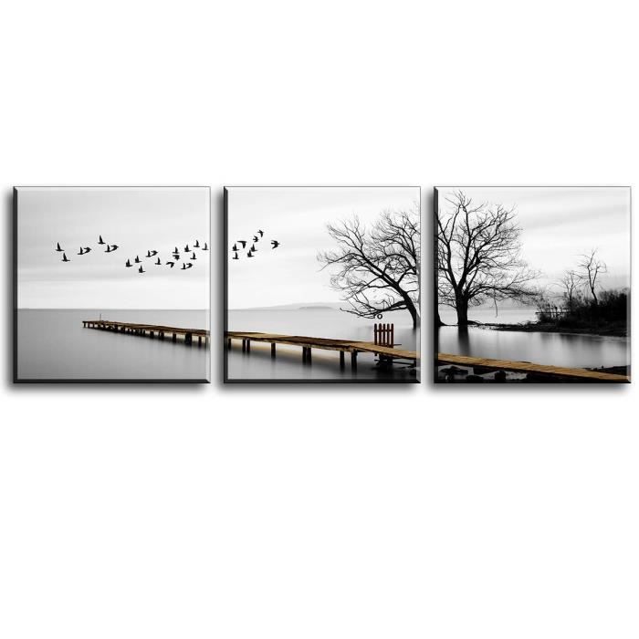 Les Oiseaux volent dans la Nature Photo sur Toile pr/êt Couvert Taille Art Print Peinture Murale 60x40 cm