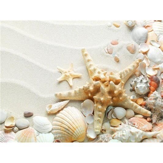 Kit De Peinture Diamant 5D Pour Paysage De Coquillages De Plage Point