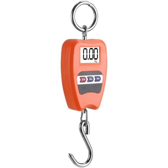 Balance Suspendue Kern HCB 1T-3 - Précision 2000 G, Capacité Jusqu'à 1000 Kg, Pour Charges Lourdes