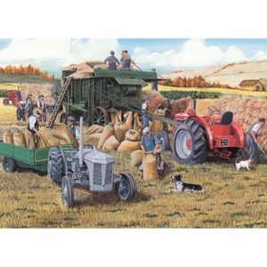 PUZZLE JUMBO 611124 -Puzzle 2 x 500 Pièces - HARVESTING -