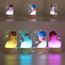 Grapes Garden Kpop BTS Map of The Soul Persona Figurine de Plate en Acrylique Lampe LED V 7 Couleurs Réglables Jin Jimin Suga J-Hope Jungkook V RM USB Lampe de Chevet Veilleuse 