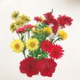 Pressé Mixte Naturel Fleurs Séchées DIY Art Artisanat Scrapbook Téléphone Cadeau Décor B08-2