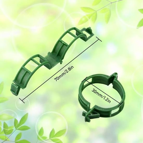 IFutniew 300 Pièces Clips Support Plante Clips D'Orchidée, Clips