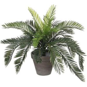 FLEUR ARTIFICIELLE Mica Decorations Cycas Palm Plante artificielle - 