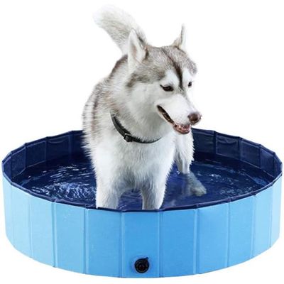 van Dam Exclusive® Piscine pour animaux - Piscine - Piscine pour chiens -  bain - bain