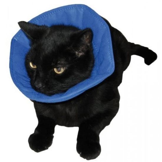 Company Of Animals Chien Et Chat Collerette Soft E Taille 4 Cdiscount Animalerie