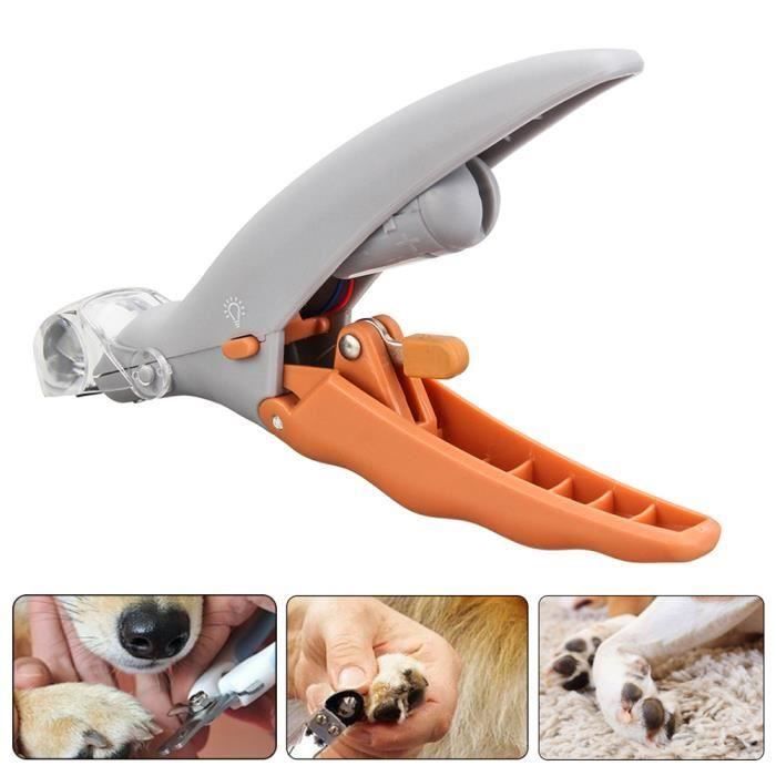 king TEMPSA Pince coupe ongles pieds avec lumière led pour chiien chat