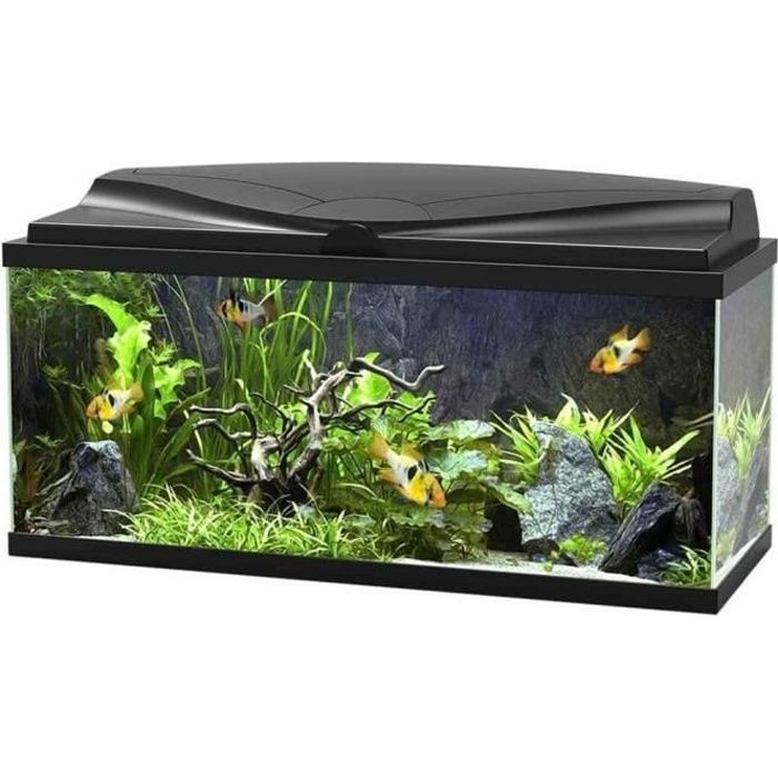 Ciano - Aquarium 80 LED - Noir