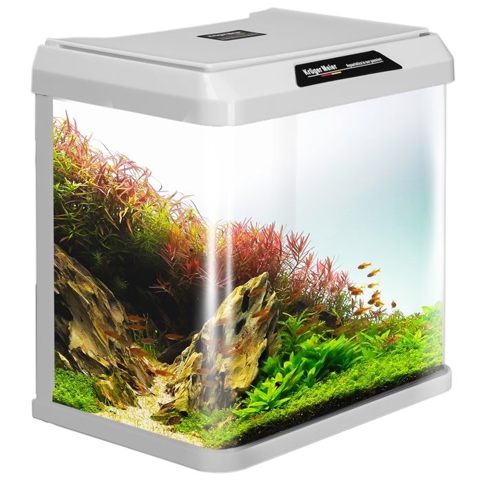 Aquarium complet en verre blanc petit modèle décoratif pour la maison 7 L