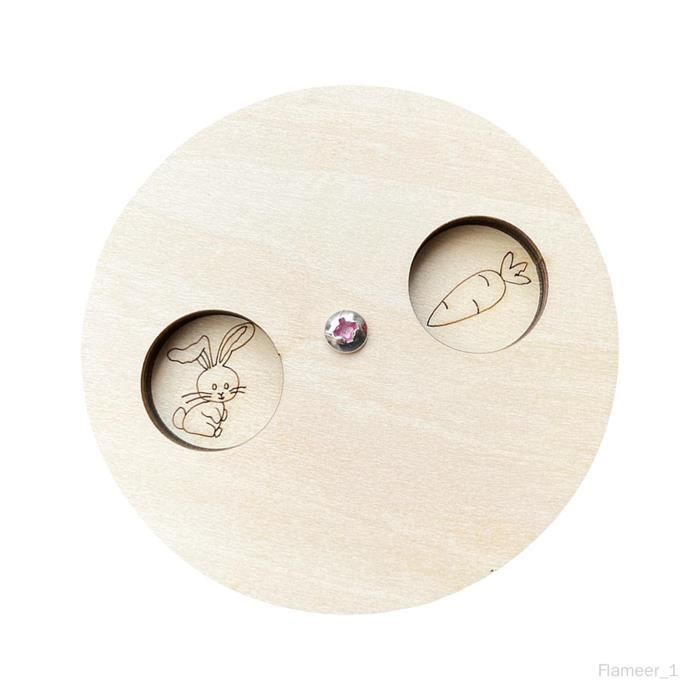 2 Planches Sensorielles En Silicone Avec 24 Bâtonnets Colorés – Jouet Anti-stress Pour Enfants Et Adultes – Aide Concentration, Anxiété, TDAH, Autisme – Inspiré Montessori - 14