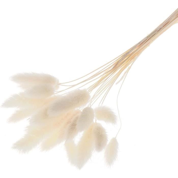 Ensemble 80 Pièces Fleurs Séchées Pampas Bohème - Bouquet Coton Lavande Eucalyptus Pour Décoration
