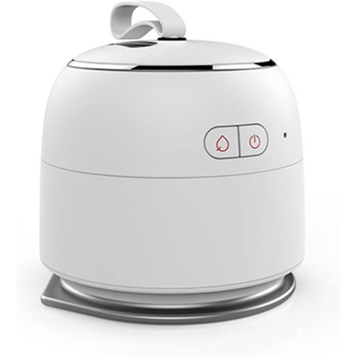 Sécheur Vapeur Et Défroisseur Automatique RayGenius - Repassage Mains Libres, élimine Odeurs Et Acariens, Portable