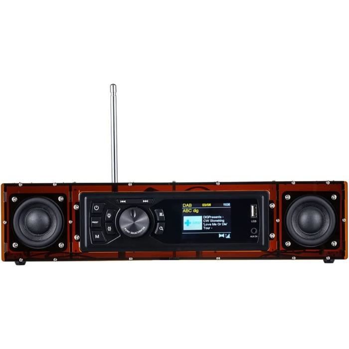 ALK103 Kits Radio FMDab Do It Yourself (DIY) avec Coque en Acrylique