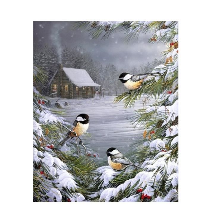 Peinture acrylique avec numéros d'oiseaux sur toile, 40x50, pour adultes,  dessin à l'huile, Art décora 50x65cm no frame -TX39342 - Cdiscount Maison