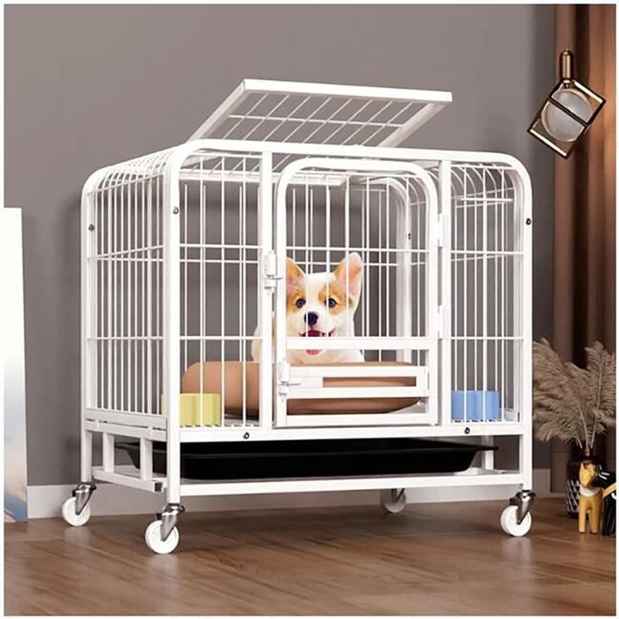 Cages Et Chenils pour ChiensCage en Fer pour Animaux De CompagnieCages à ChienChenilClôTure