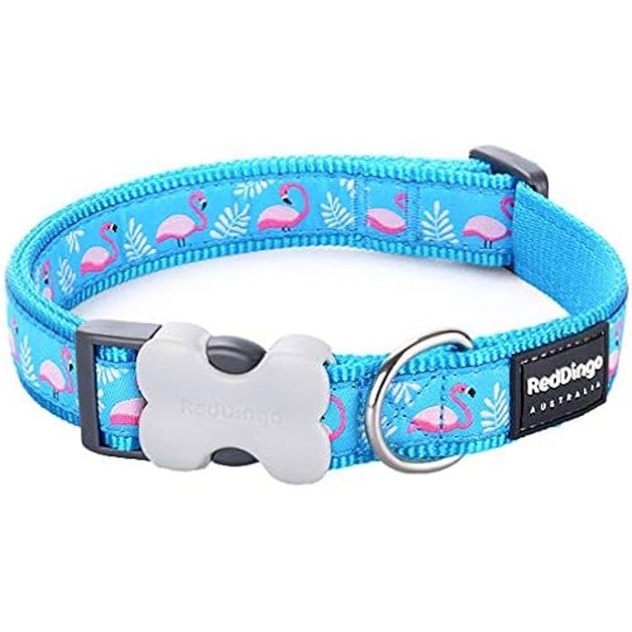 Meilleurs prix pour Collier pour Chien - RED DINGO - Flamant Turquoise - 20mm - 31-47cm - Nylon Résistant