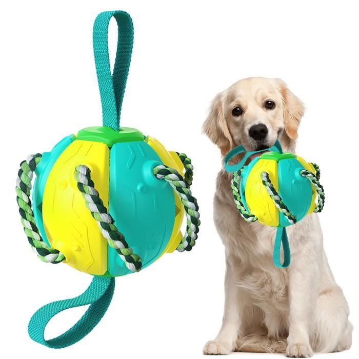 UFO Balle magique interactive pour chien - Jouet magique avec soucoupe  volante - Balle rebondissante mobile - Jouet amusant à déformation - Jouet  interactif pour chien et chat : : Animalerie