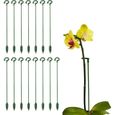 Tuteur Plante - 15 Bâtons de Support - 27cm Piquets - Fixation Croissance Plantes-0