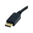 Câble adaptateur DisplayPort vers DVI de 1,8 m - Câble adaptateur DP vers DVI de 1,8 m - Convertisseur DP - 1920 x 1200 - DP2DVI2MM6-0