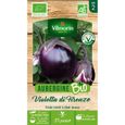 Aubergine violette de Florence bio Vilmorin-0