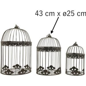 Cage Oiseaux Decorative